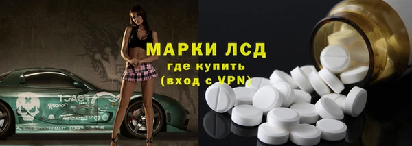 стаф Нея
