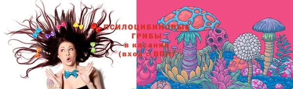 MESCALINE Нефтекумск