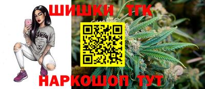 твердый Бийск