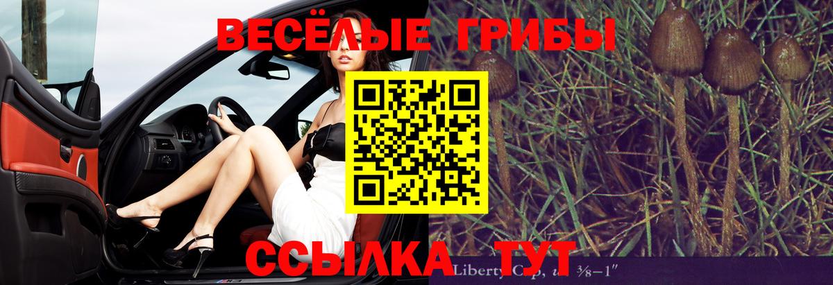 Галлюциногенные грибы мицелий Энгельс